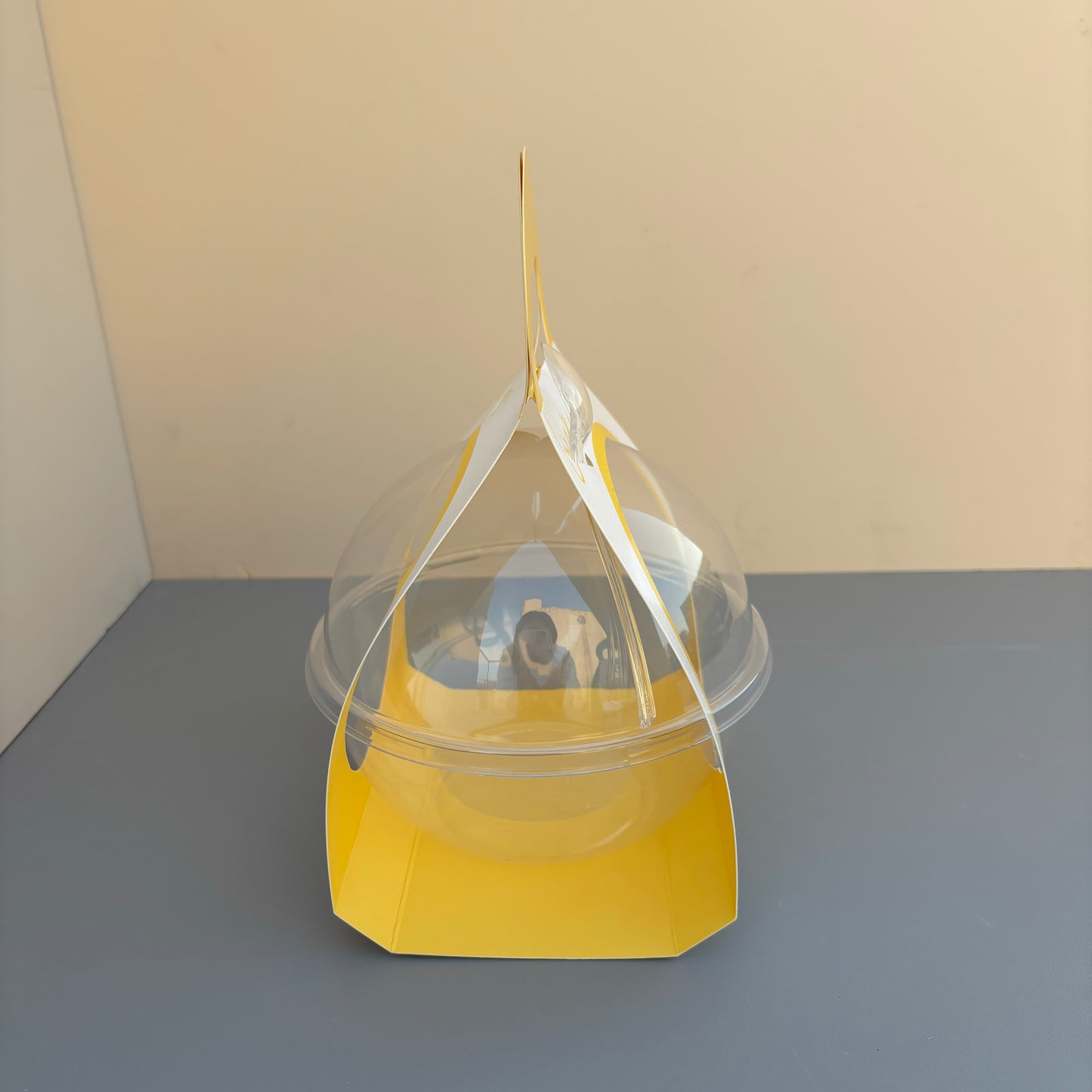 50PCS 500ML dessert clear ball with yellow paper handle and spoon