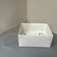 10 boxes 5-cupcakes & bento box with clear lid