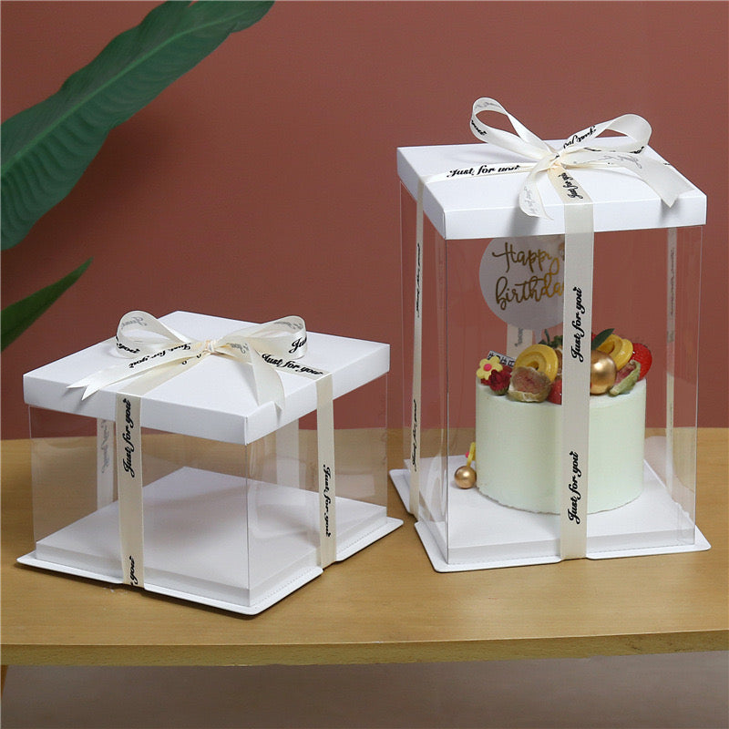 10 boxes White Square Large PET Clear Cake Box