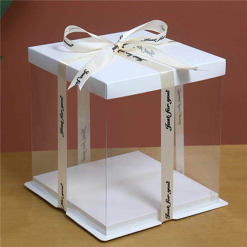 10 boxes White Square Large PET Clear Cake Box