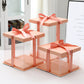10 boxes Pink Square Large PET Clear Cake Box