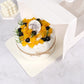 10 boxes white Cake Box with Cake Board