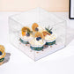 10 boxes 2/4/6/9/12 Holes Clear Cupcake Box with Paper Insert