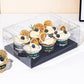 10 boxes 2/4/6/9/12 Holes Clear Cupcake Box with Paper Insert