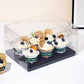 10 boxes 2/4/6/9/12 Holes Clear Cupcake Box with Paper Insert