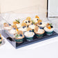 10 boxes 2/4/6/9/12 Holes Clear Cupcake Box with Paper Insert