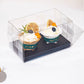 10 boxes 2/4/6/9/12 Holes Clear Cupcake Box with Paper Insert