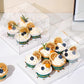 10 boxes 2/4/6/9/12 Holes Clear Cupcake Box with Paper Insert